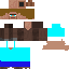 Texture for Steve