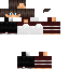 Texture for Roach