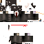 Texture for ds