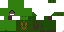 Texture for Thorn