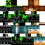 Texture for David13