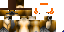 Texture for MCPlatypus255