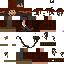 Texture for sparrow2