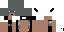 Texture for Minecraft Man