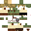 Texture for Link
