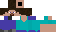 Texture for steve clean
