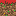 Texture for grass test