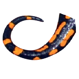 Texture for Lizard tail