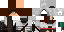 Texture for Assassin