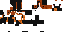 Texture for pysia świnka morska
