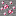Texture for amber_ore