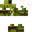 Texture for lizard