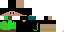 Texture for parpard