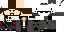Texture for Bob