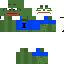 Texture for Steve
