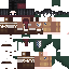 Texture for mikasa