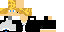 Texture for asthomnew