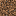 Texture for coarse_dirt