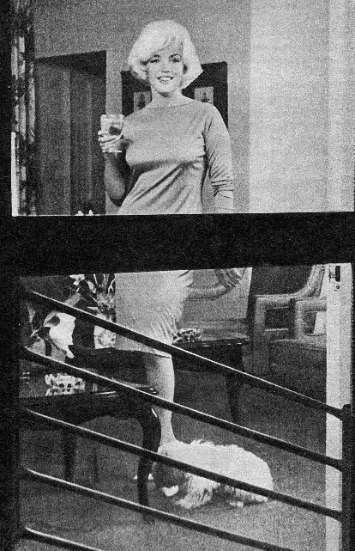 Texture for marilyn and her dog maff 1961