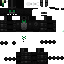 Texture for SpringRex