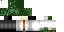 Texture for DaveJR2