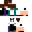 Texture for steve
