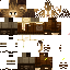 Texture for Leo