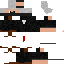 Texture for Prota