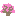 Texture for Sakura