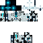 Texture for enderbot