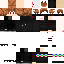 Texture for NEXT
