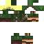 Texture for ca