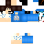 Texture for zPanter