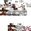 Texture for rengar using q