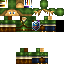 Texture for Link