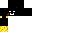 Texture for sdtyt