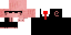 Texture for ¨The Pig¨