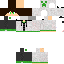 Texture for Stefan334 - BUG