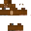 Texture for steve bear