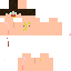 Texture for pz2