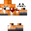Texture for zorrito2