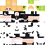 Texture for ISABELLE