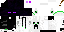 Texture for ender