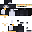 Texture for King penguin 
