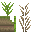 Texture for sugarcane1