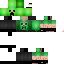 Texture for Tiny Creeper (Main)