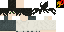 Texture for L carlos