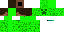 Texture for Creeper Bright