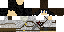 Texture for PETR