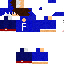 Texture for flippers5
